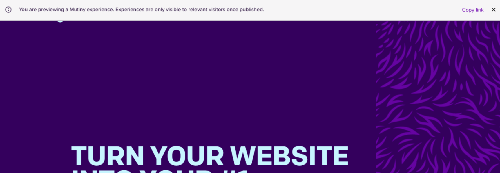 experience-page__experience-preview.png